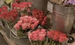 Featured image of post Diary