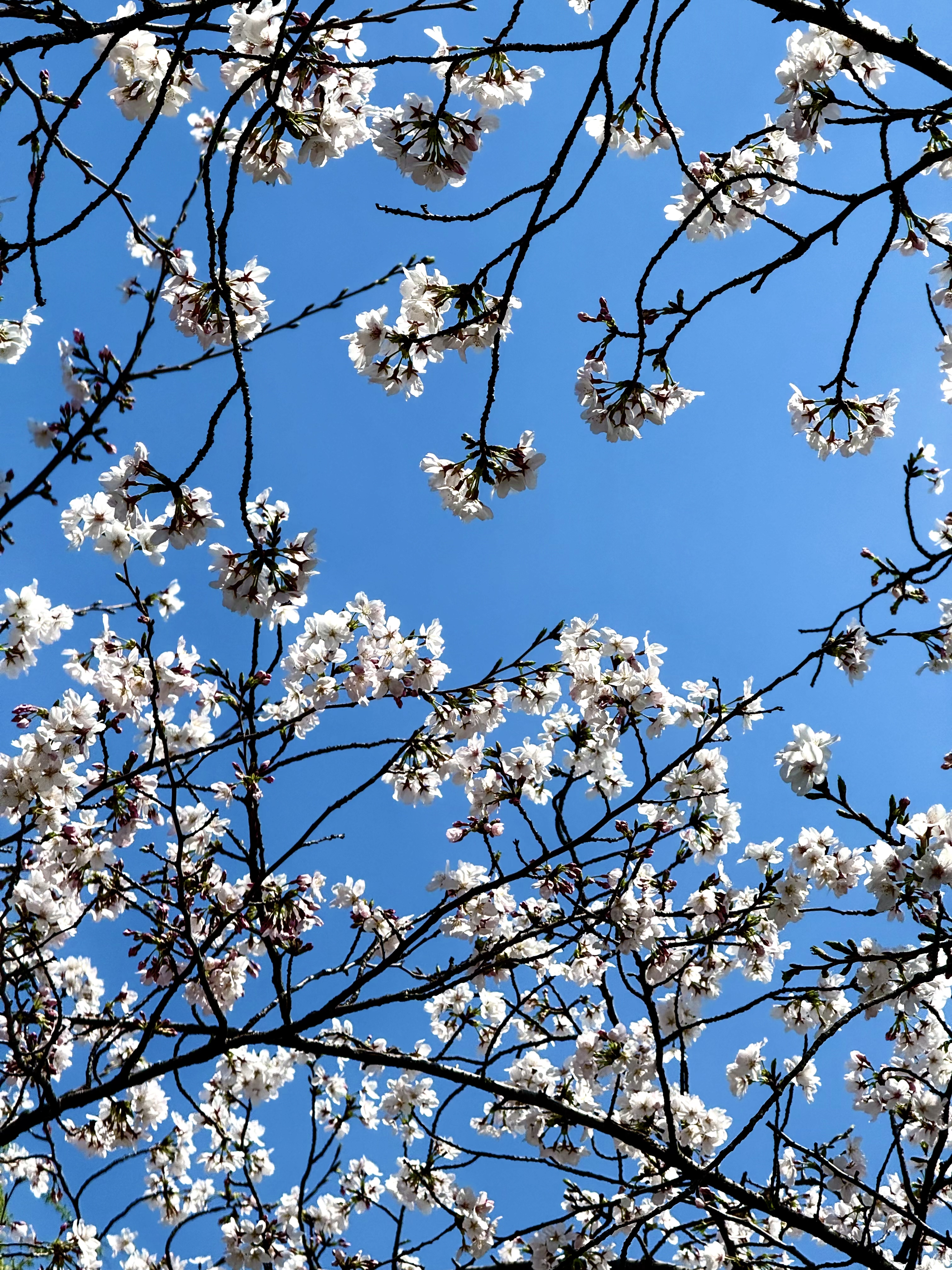 Featured image of post 月记 | 三月不在家