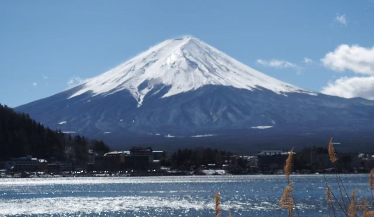 Featured image of post 年终 | 从自由到不自由