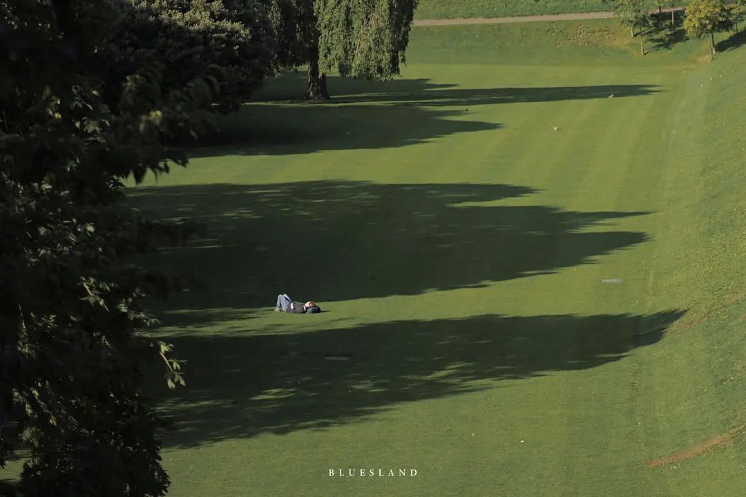 Featured image of post 月记 | 以成年人的姿态度过五月