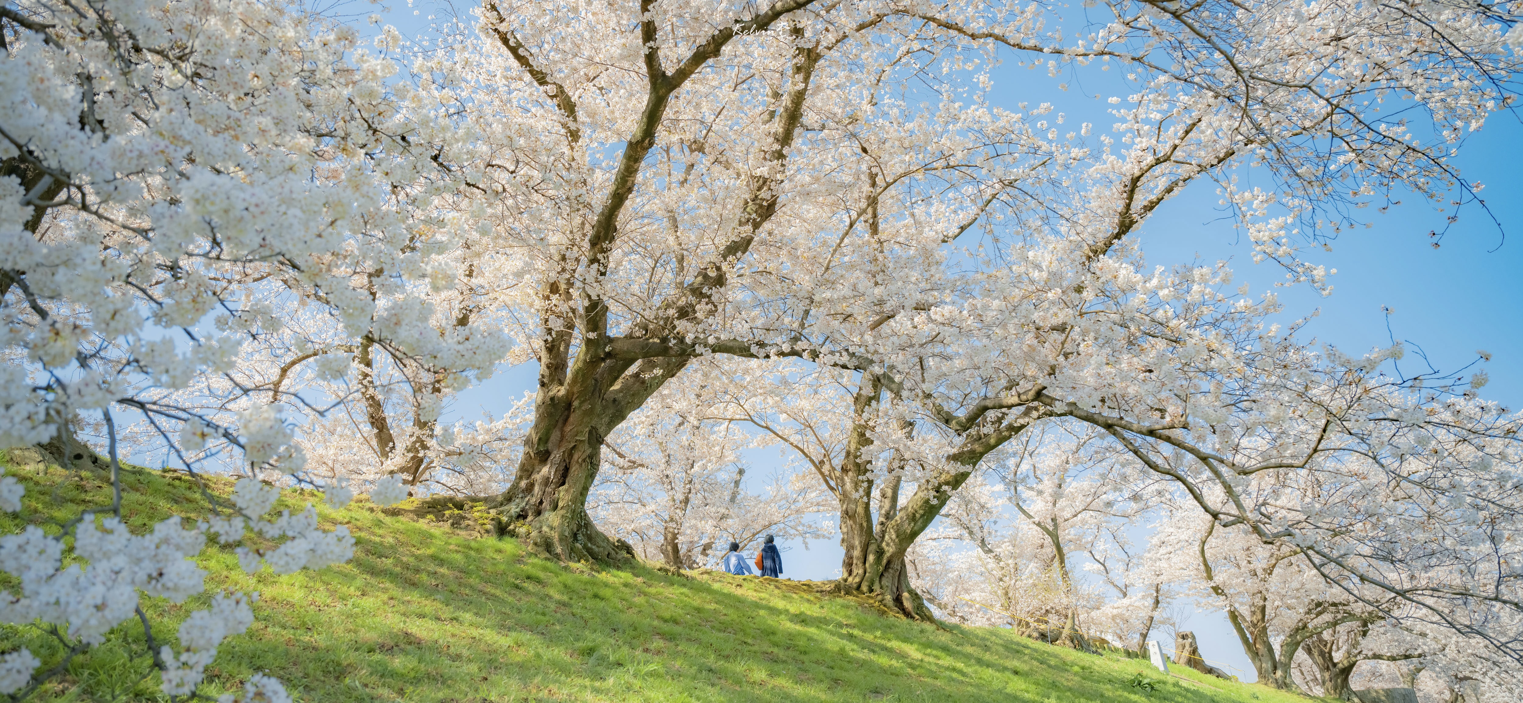 Featured image of post 月记 | 一月&二月日常分享